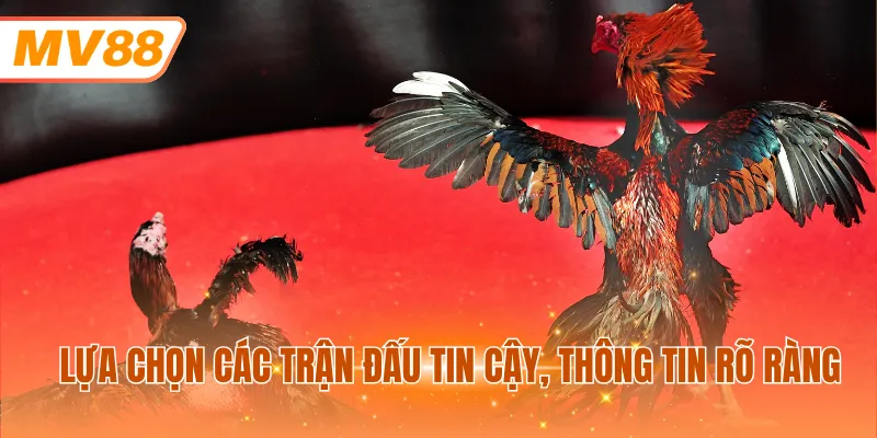 Lựa chọn các trận đấu tin cậy, thông tin rõ ràng